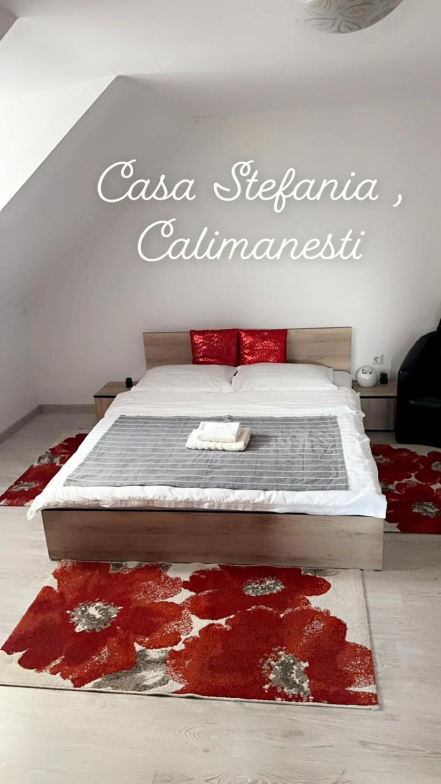 Casa Stefania 1 Apartment Calimanesti Exterior photo